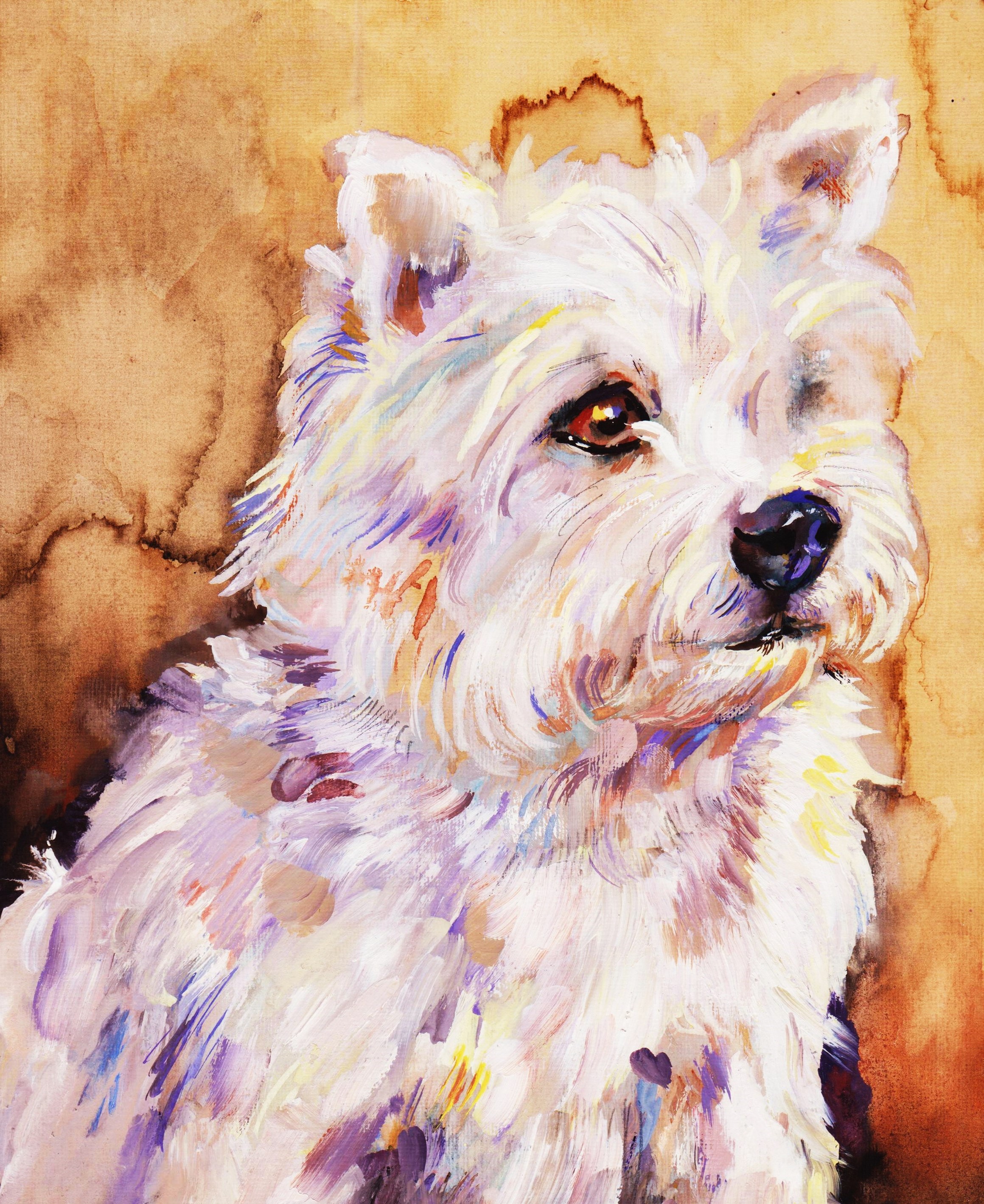 WEST HIGHLAND WHITE TERRIER - PIGFISH - KITTY PIGFISH - CARICATURIST - CARTOONIST - LIVE AT EVENTS